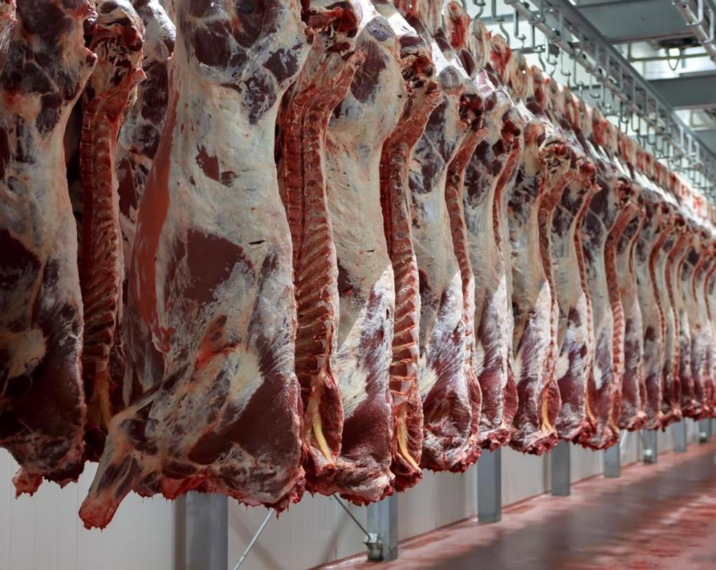 برلماني يجعل من مسقط راسه امبراطورية احتكار سوق اللحوم الحمراء