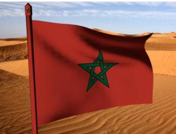 المغرب والمغاربة أكبر بكثير من مغالطات أعداء الوطن